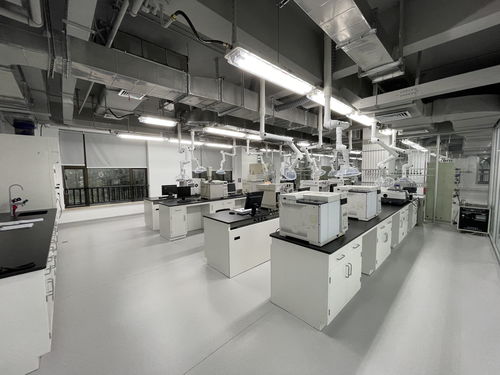 向地球深部進軍 山東能源集團深部煤炭數(shù)智化高效開采成套技術與工程應用引領煤炭工業(yè)高質(zhì)量發(fā)展