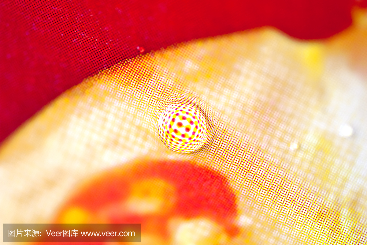 印刷在包裝上的特寫(xiě)膠印